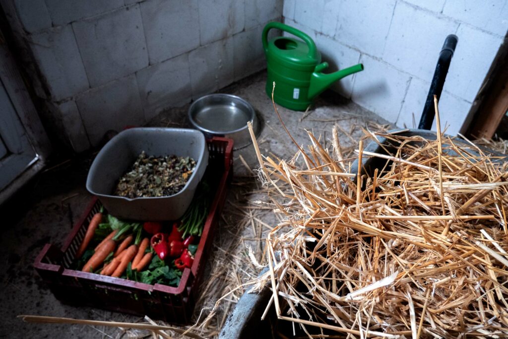 vegetables ans straw